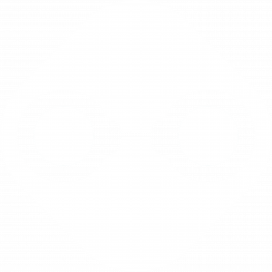 Orion Sentry Logo